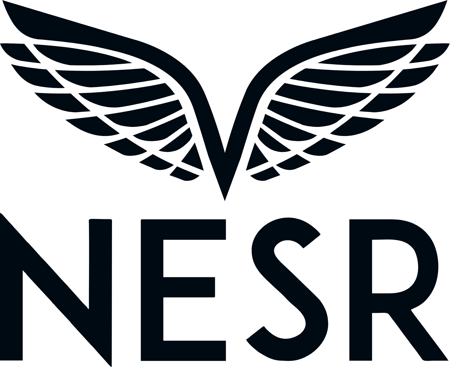 NESR_BIG