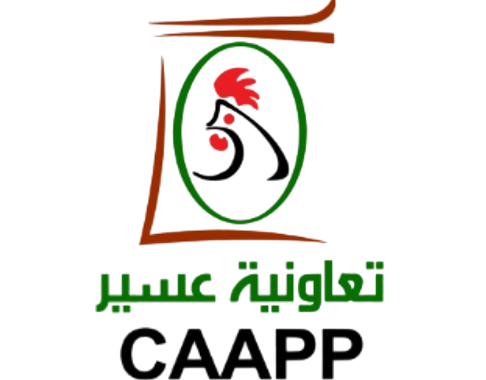 caapp (2)